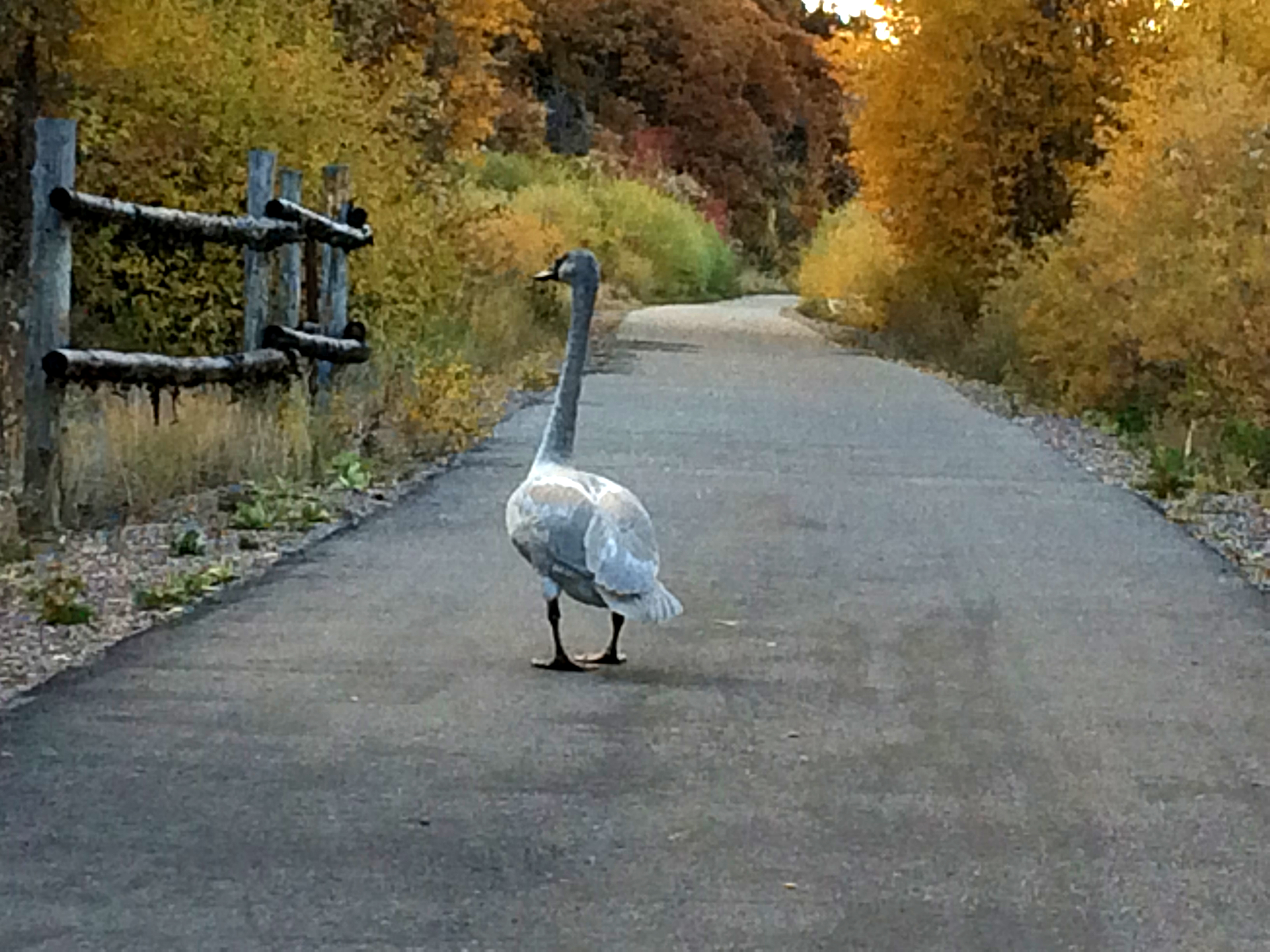 Nature Smart Nature Smart